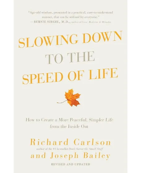 Forsidebillede til bogen "Slowing down to the speed of light"